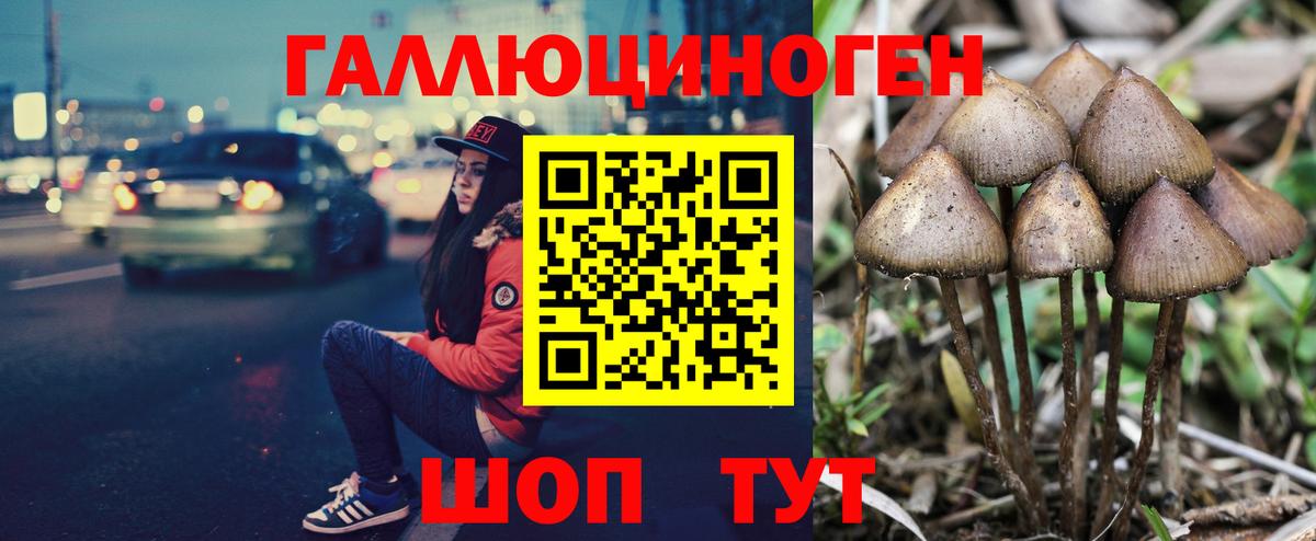Галлюциногенные грибы прущие грибы Камышин