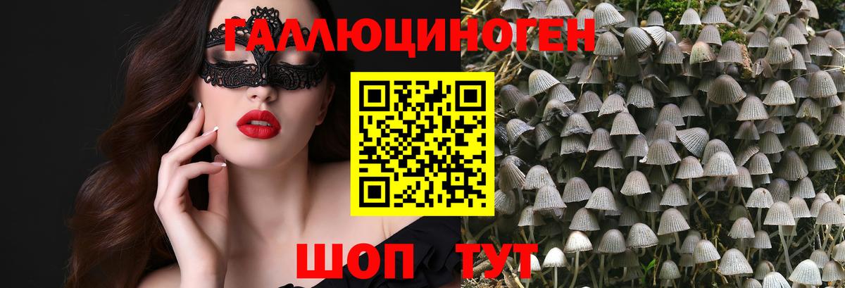 Галлюциногенные грибы GOLDEN TEACHER  Вход с VPN  Камышин 